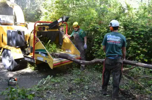 tree services Lake Almanor Peninsula